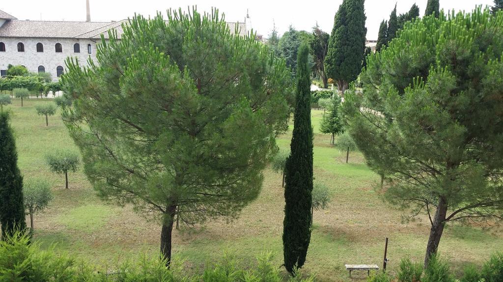 Appartamenti Francesco In Assisi Phòng bức ảnh